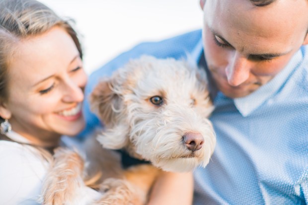 Morgan and Ben's Newport Engagement Shoot - P.S. They brought their puppy! | The Newport Bride
