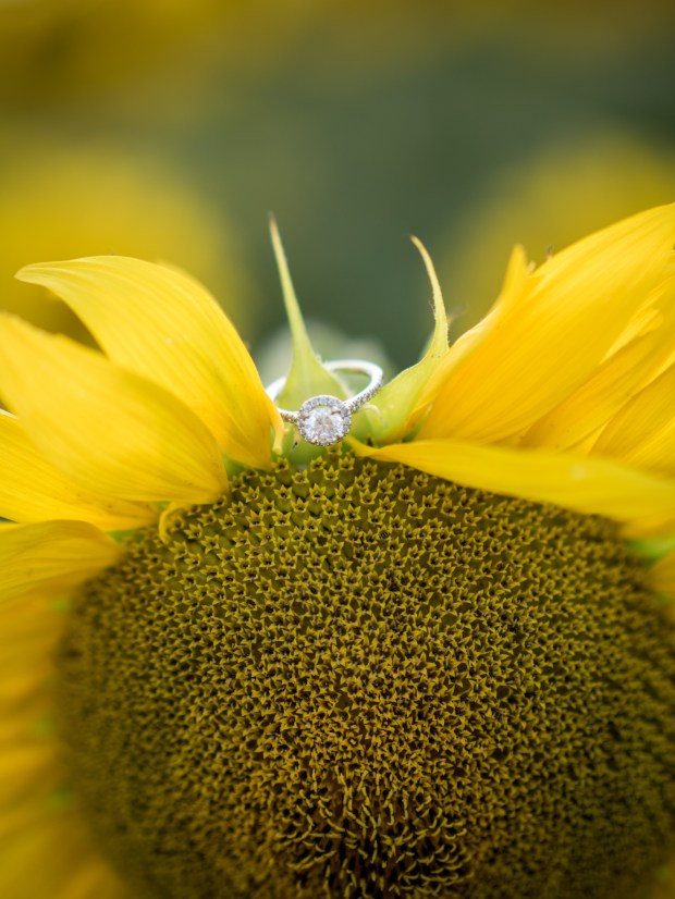 Nicole and Craig Engagement | The Newport Bride