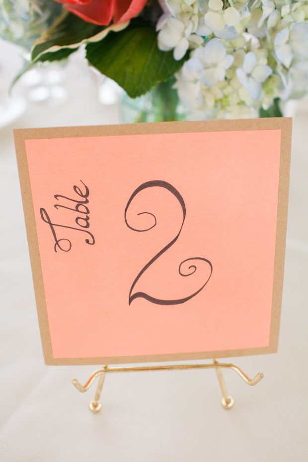 View More: http://deborahzoe.pass.us/lindseydavemarried