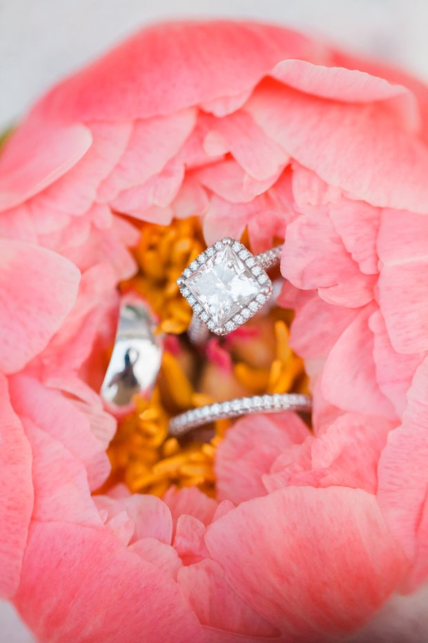 COLLINS SUBMISSION-0066.jpg