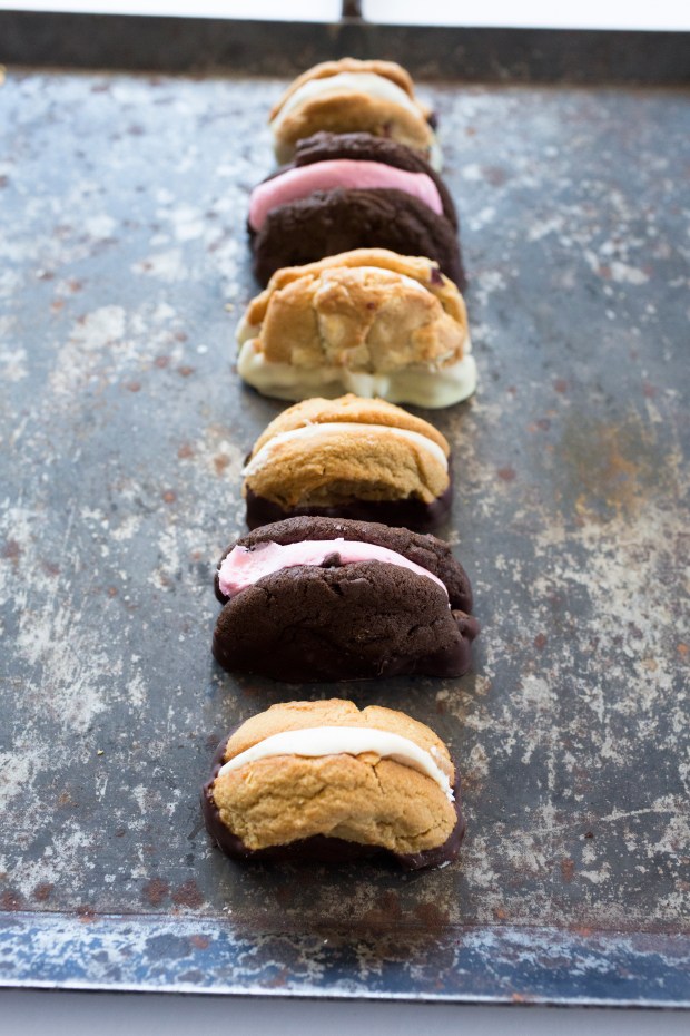 mollylotrends2015311b9989