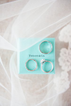 View More: http://melissastimpson.pass.us/helenwillwed