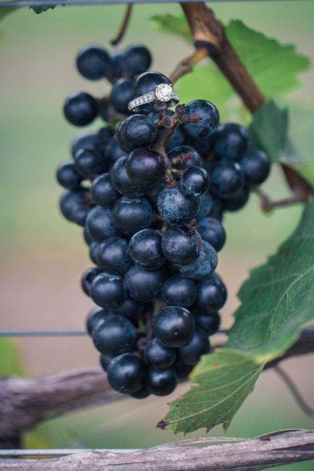 Charlie and Lisa's Engagement Pictures | The Newport Bride