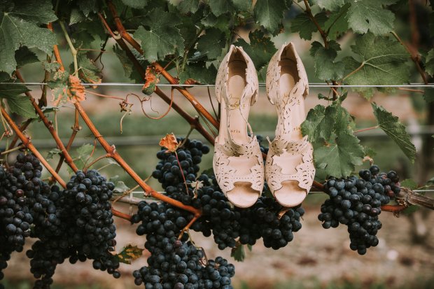 Whitney and Tyler's Newport Vineyards Wedding