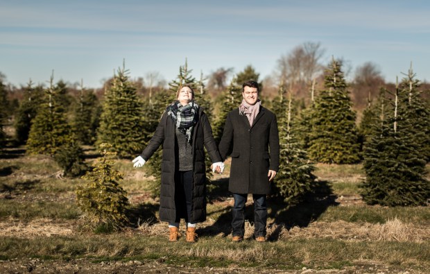 Dan and Joanna's Christmas Tree Farm Engagement Pictures