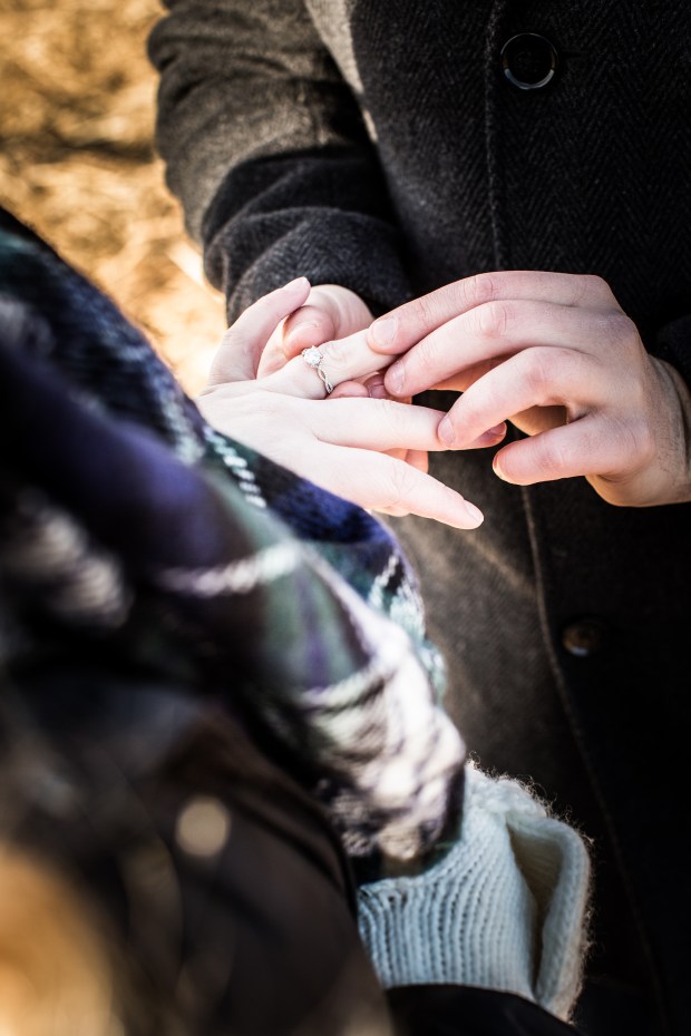 Dan and Joanna's Christmas Tree Farm Engagement Pictures
