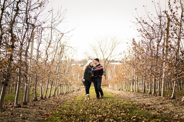 Dan and Joanna's Christmas Tree Farm Engagement Pictures on The Newport Bride