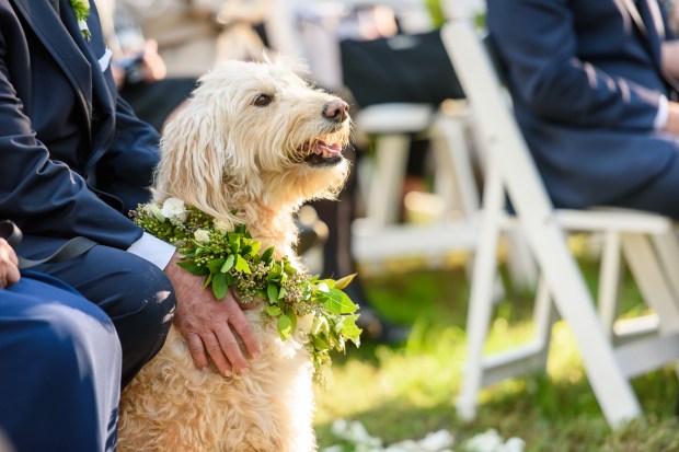Kristina and Mike's Romantic Woodsy Wedding on The Newport Bride
