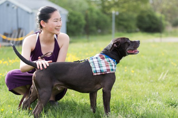 5 Easy Ways to Dress Your Dog For Your Wedding on The Newport Bride