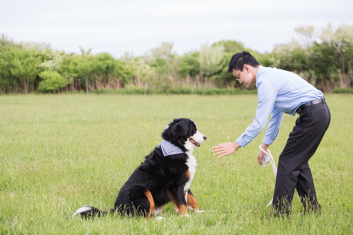 5 Easy Ways to Dress Your Dog For Your Wedding on The Newport Bride