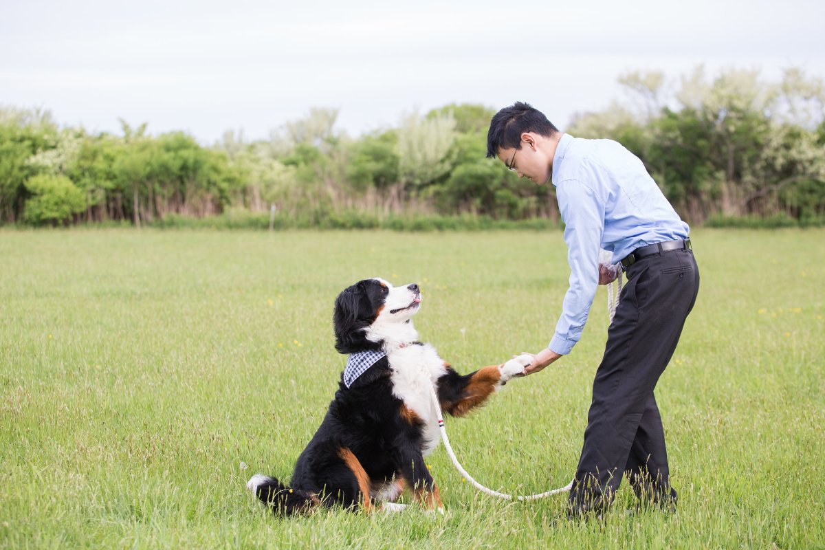 5 Easy Ways to Dress Your Dog For Your Wedding on The Newport Bride