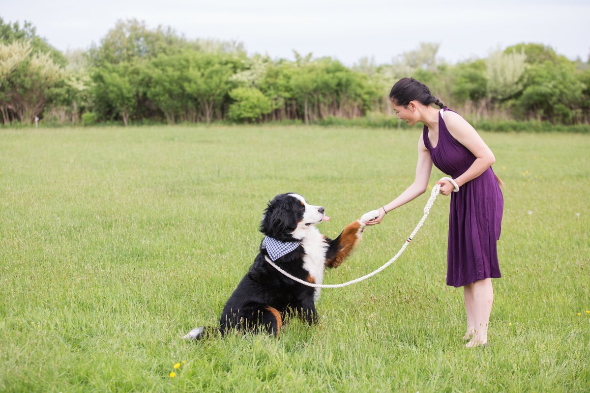 5 Easy Ways to Dress Your Dog For Your Wedding on The Newport Bride