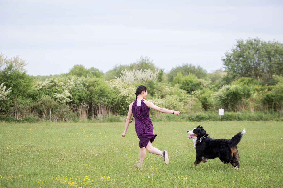 5 Easy Ways to Dress Your Dog For Your Wedding on The Newport Bride
