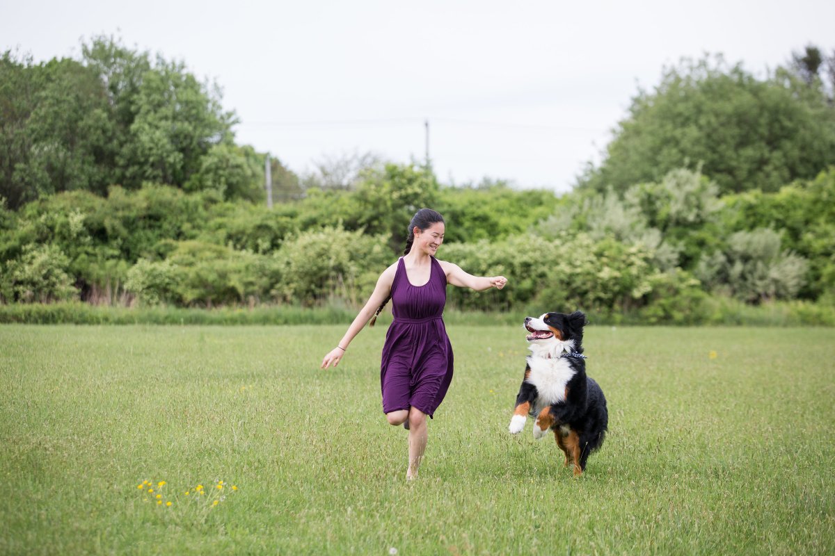 5 Easy Ways to Dress Your Dog For Your Wedding on The Newport Bride