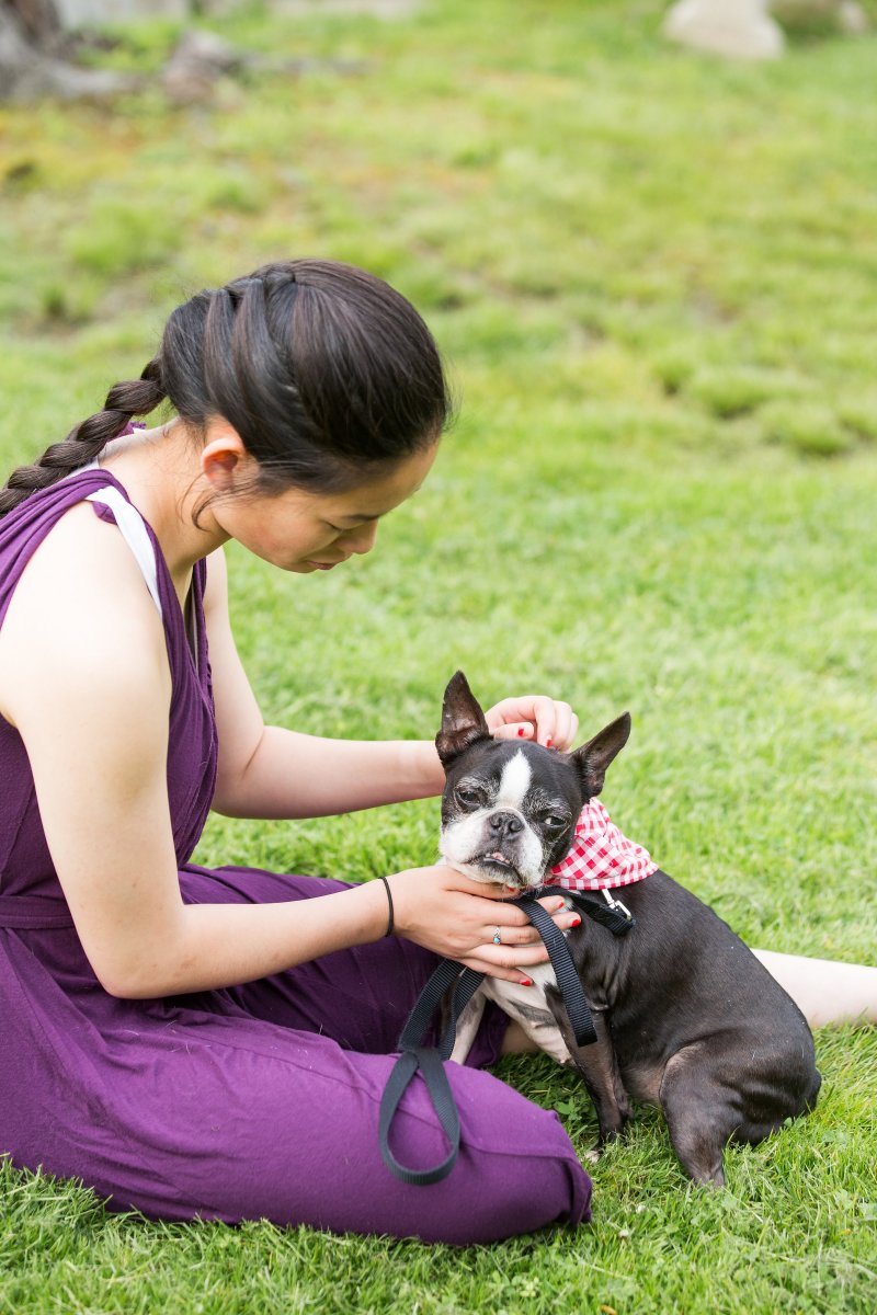 5 Easy Ways to Dress Your Dog For Your Wedding on The Newport Bride