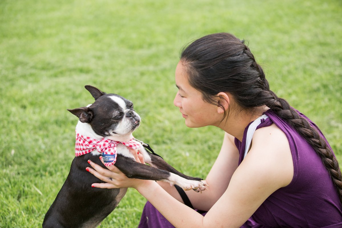5 Easy Ways to Dress Your Dog For Your Wedding on The Newport Bride