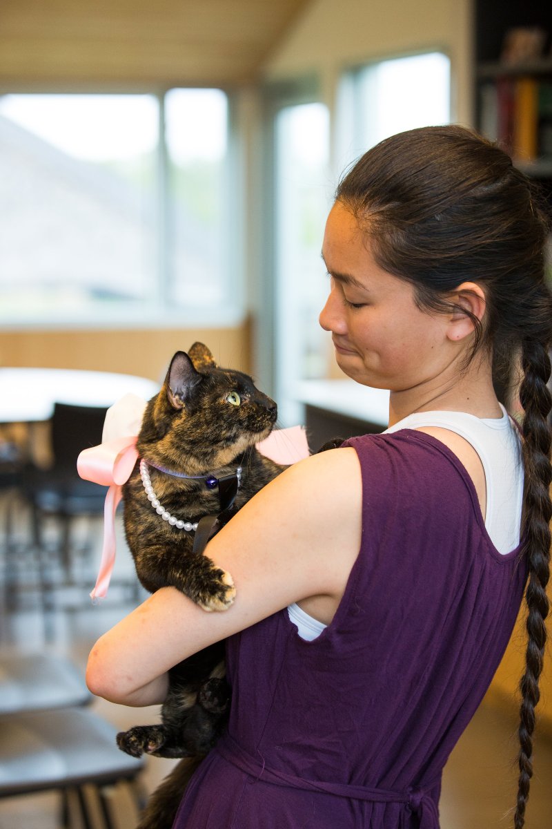 5 Easy Ways to Dress Your Dog For Your Wedding on The Newport Bride