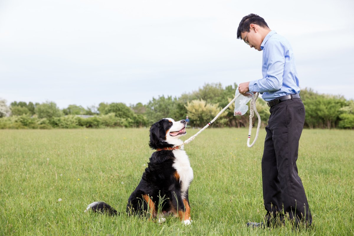 5 Easy Ways to Dress Your Dog For Your Wedding on The Newport Bride