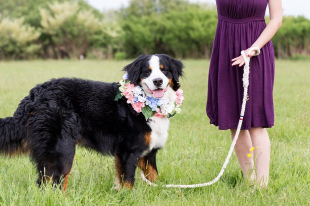 5 Easy Ways to Dress Your Dog For Your Wedding on The Newport Bride