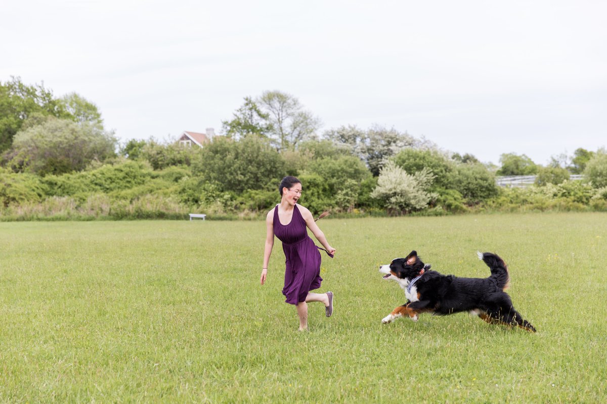 5 Easy Ways to Dress Your Dog For Your Wedding on The Newport Bride