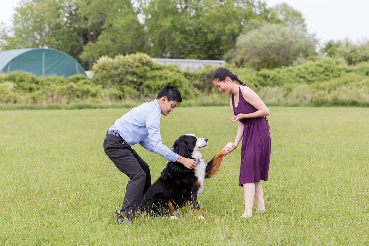5 Easy Ways to Dress Your Dog For Your Wedding on The Newport Bride
