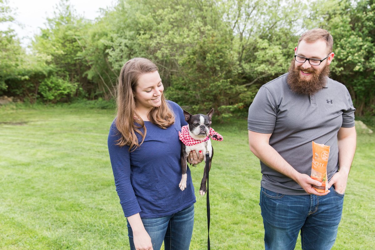 5 Easy Ways to Dress Your Dog For Your Wedding on The Newport Bride