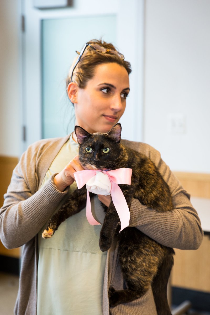 5 Easy Ways to Dress Your Dog For Your Wedding on The Newport Bride