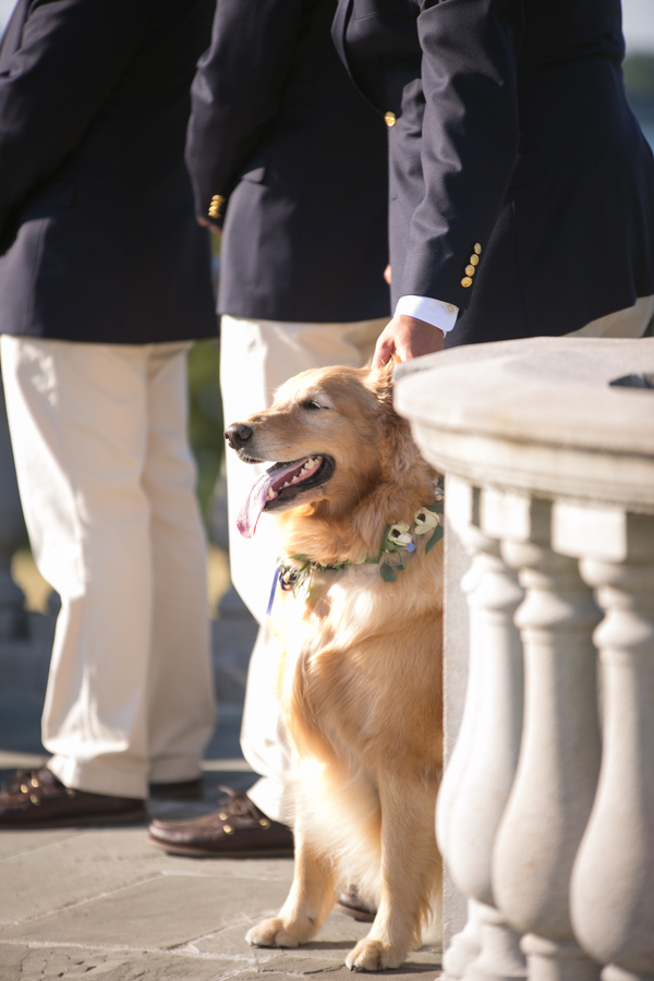 The Newport Bride Holly and Mike's Castle Hill Inn Wedding 1