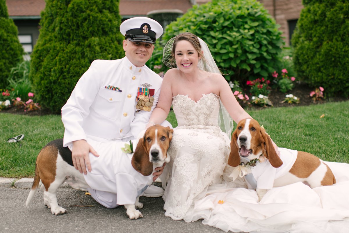 The Most Brilliant Thing to Do With Your Pets During the Wedding