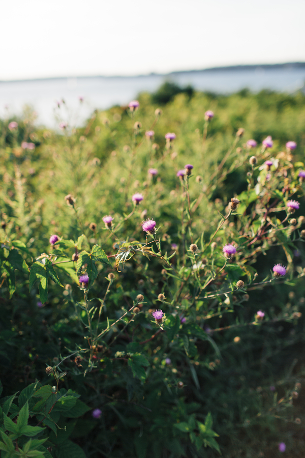 Michaela and Matt's Intimate Castle Hill Inn Wedding on The Newport Bride