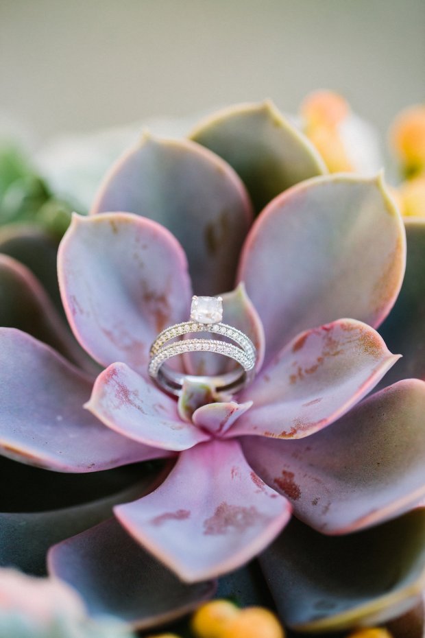 Succulent Loving Wedding on The Newport Bride a Rhode Island Wedding Blog