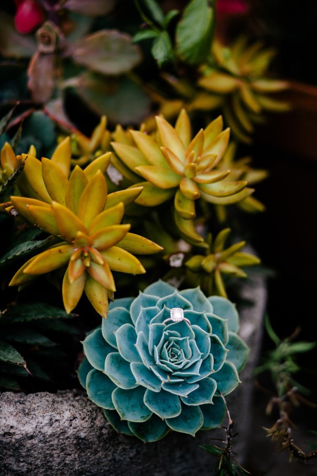 Mundo_McGrew_EisleyImages_0327_big