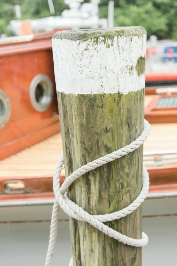 Young_Nitz2018_LudwigPhotography_6_big