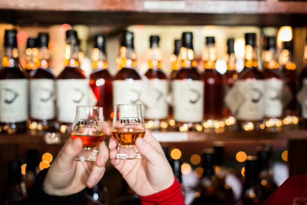 newportbridedecember2016-15