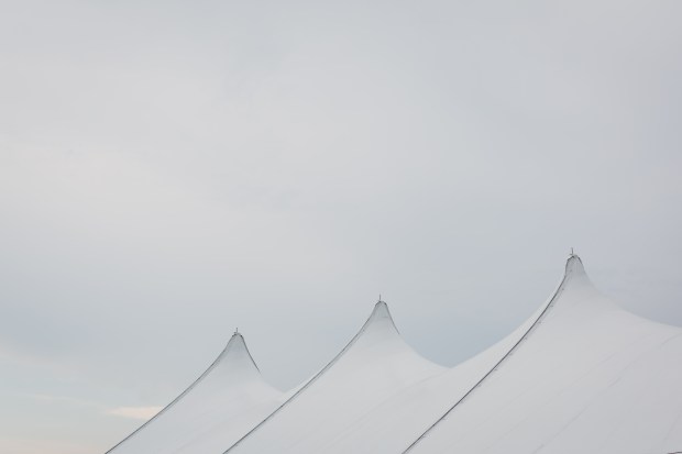 Galasso_Oleynick_BeetampBlossom_HayleyMike07Reception236