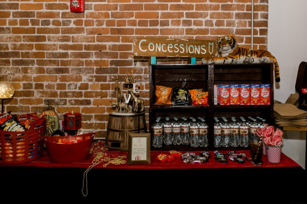 Chaet_Mazza_Danyel Stapleton Photography_DSPFaves116of126_big