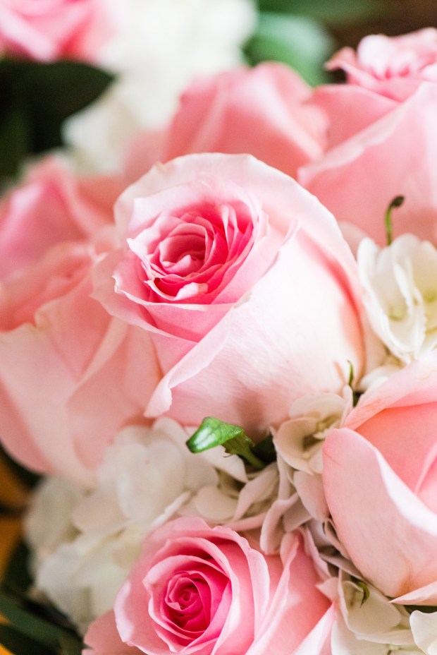 Shaw_Sikaczowski2018_LudwigPhotography_LudwigPhotography16_big