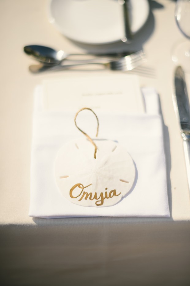 Hamzy_Carroccia_TonySpinelliPhotography_donnakevinwed356_big