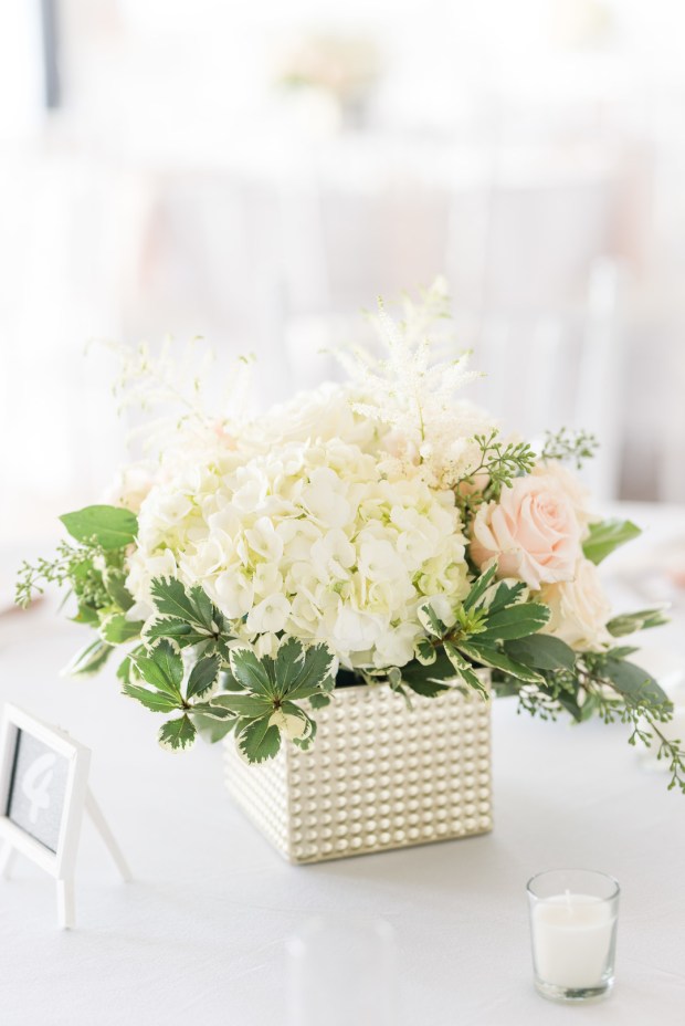 Goldberg_Koziol_LudwigPhotography_LudwigPhotography75_big