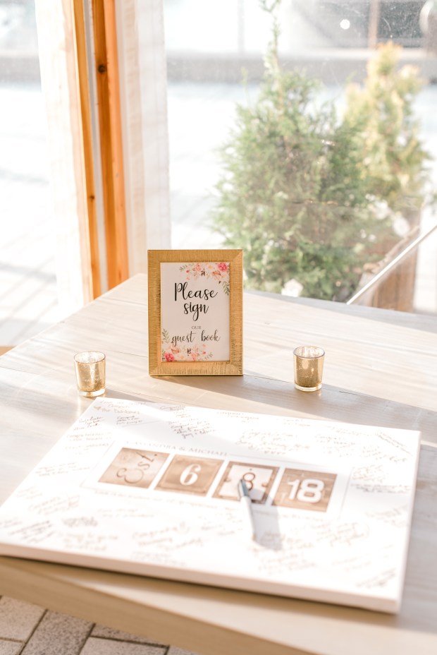 Roddy_Burns_AliciaAnnPhotographie_CassandraandMichaelWedding1067