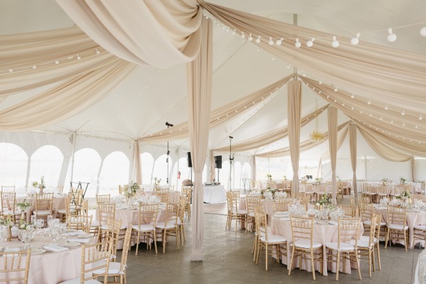 Galasso_Oleynick_BeetampBlossom_HayleyMike07Reception19