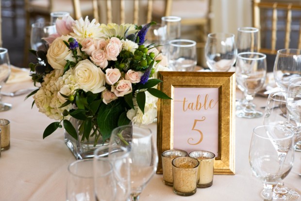 Ukena_Will_TermeacuteStudios_DSC3885_big