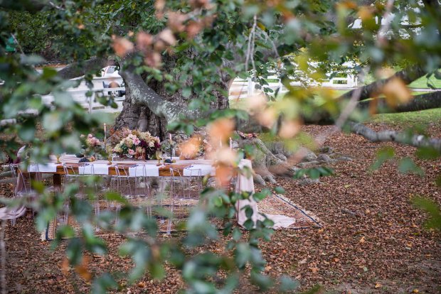 Fig and Fern- A Fall Styled Shoot at the Green Animals Topiary Gardens