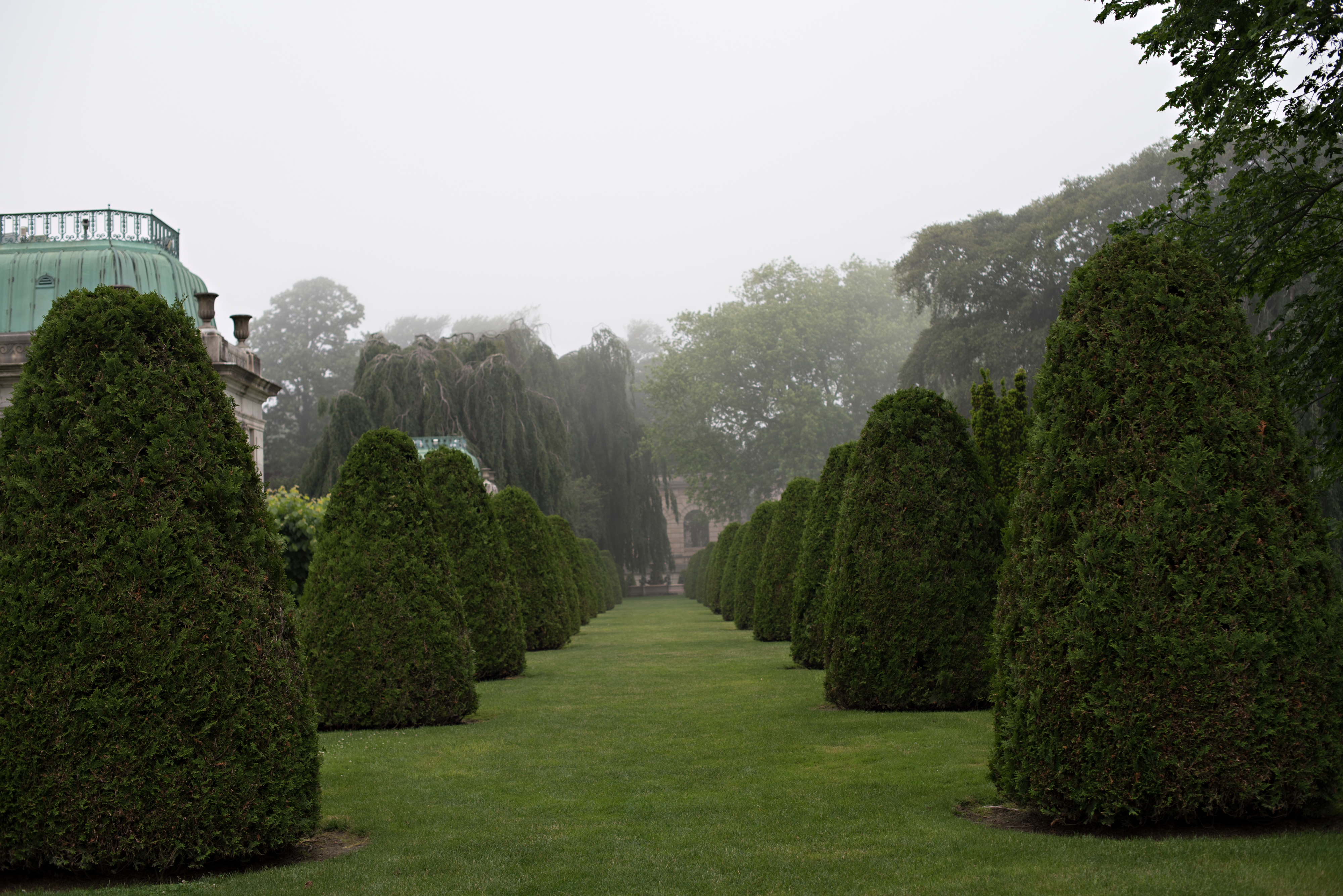 0618Elie_Ariana_0277