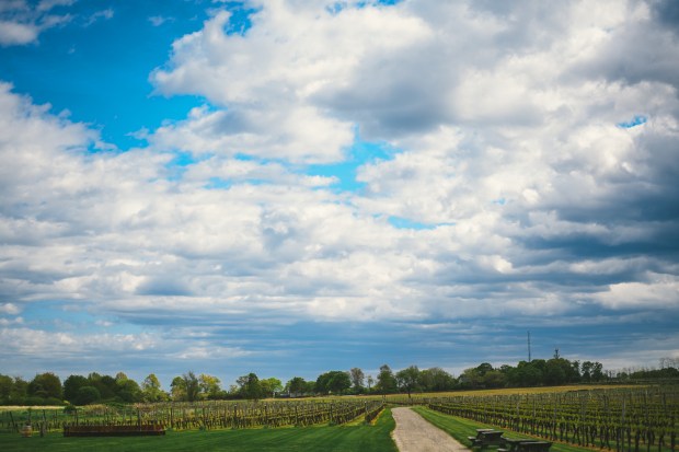 Lease_Janczyk_Tony Spinelli Photography_nemythechrisw202_big