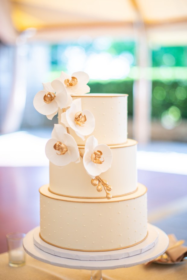 Jason_Stacy_dani_big. fine photography & image studio_STACYJASONDANIFINEWEDDINGSCASTLEHILLINBOHLINNEWPORTRHODEISLAND0613